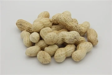 Cultivation techniques of peanut