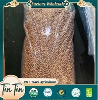Shandong Peanut 6070 Peanut Kernels 2025 Crop